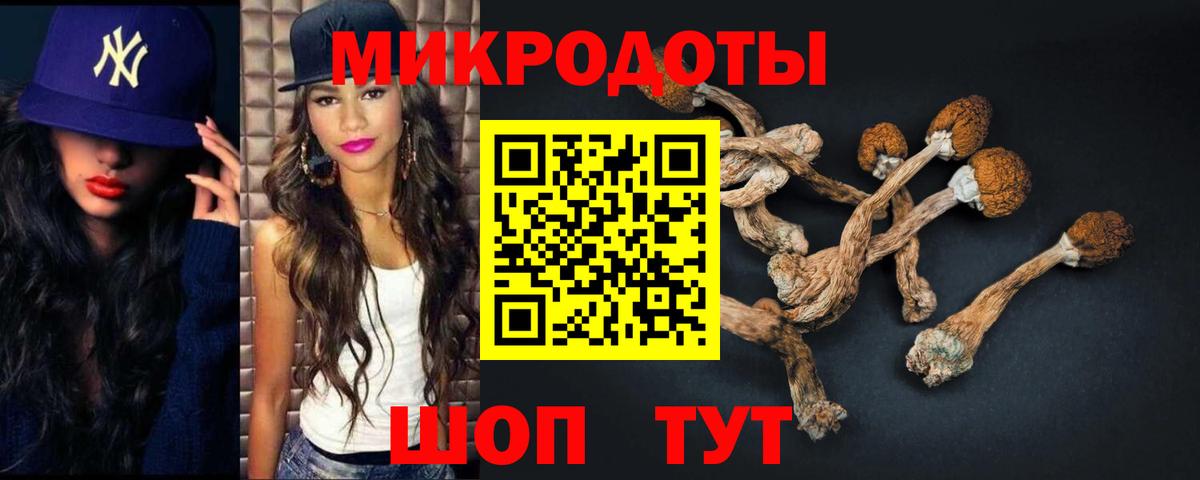 купить закладку  Вход с VPN  Острогожск  Галлюциногенные грибы MAGIC MUSHROOMS 